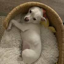 Thumbnail photo of Edith #2