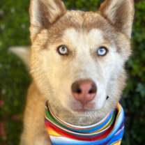 Thumbnail photo of Chester #3