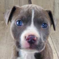 Thumbnail photo of Rayne #1