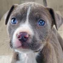 Thumbnail photo of Rayne #2