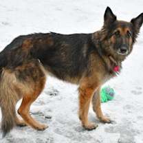 Thumbnail photo of Baby #3