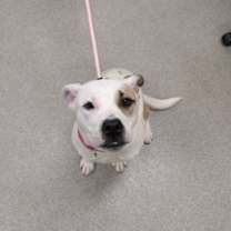 Thumbnail photo of Clarice #1