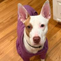 Thumbnail photo of Caroline #1