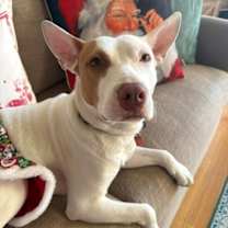 Thumbnail photo of Caroline #3