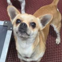 Thumbnail photo of Bear #1