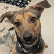 Thumbnail photo of Emma #1