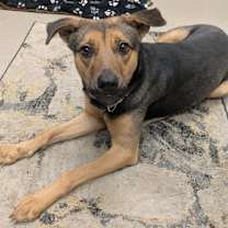 Thumbnail photo of Emma #2