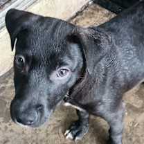 Thumbnail photo of Aaron #1