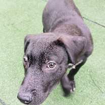 Thumbnail photo of Aaron #2