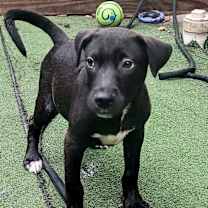 Thumbnail photo of Aaron #3