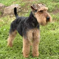 Thumbnail photo of Wilson #1