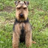 Thumbnail photo of Wilson #2