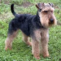 Thumbnail photo of Wilson #3