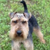 Thumbnail photo of Wilson #4