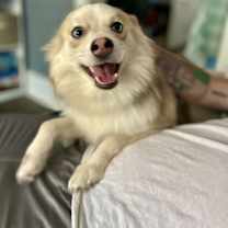 Thumbnail photo of Silas #1