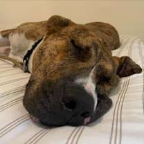 Thumbnail photo of Chuck #4