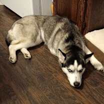 Thumbnail photo of Nami #3