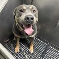 Thumbnail photo of Zeus #1