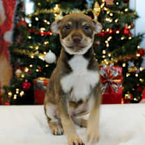 Thumbnail photo of Stu Who #1