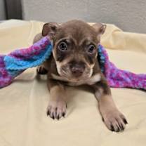 Thumbnail photo of Stu Who #2