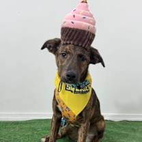 Thumbnail photo of Ely #1