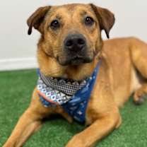 Thumbnail photo of Felix #1