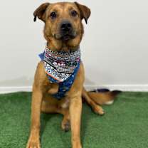 Thumbnail photo of Felix #2