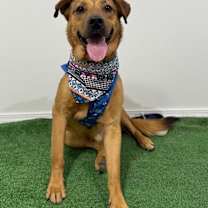 Thumbnail photo of Felix #3