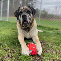 Thumbnail photo of Gunner~24/25-0313a #3