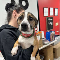 Thumbnail photo of Martin #3