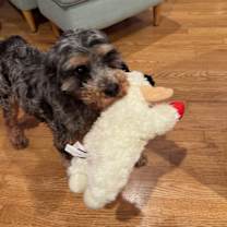 Thumbnail photo of Lotto #3