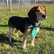 Thumbnail photo of Ozzy #1