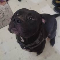 Thumbnail photo of Jskar #2