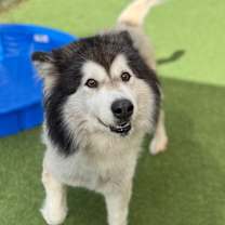 Thumbnail photo of Skittles 6941 #1