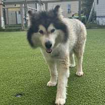 Thumbnail photo of Skittles 6941 #2