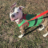 Thumbnail photo of Gail  #2