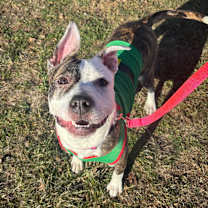 Thumbnail photo of Gail  #3