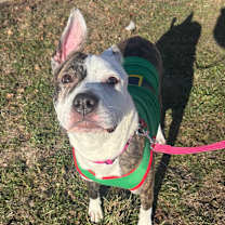 Thumbnail photo of Gail  #4