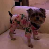 Thumbnail photo of Princeton #1