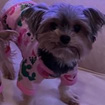 Thumbnail photo of Princeton #2