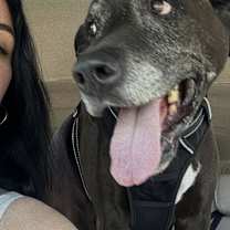 Thumbnail photo of Prince #1