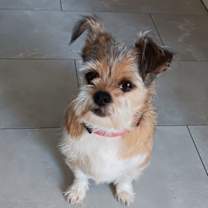 Thumbnail photo of Buddster #2