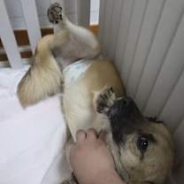 Thumbnail photo of Jjajang (J) #3