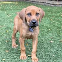 Thumbnail photo of Fruit Punch #2