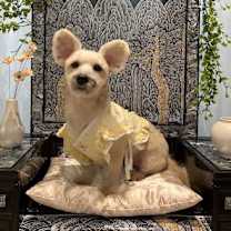 Thumbnail photo of Ongal (J) #2