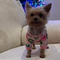 Thumbnail photo of Jabibi #1