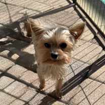 Thumbnail photo of Jabibi #2