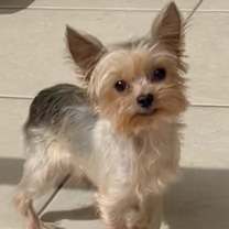 Thumbnail photo of Jabibi #3