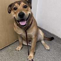 Thumbnail photo of Koopa #1