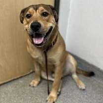 Thumbnail photo of Koopa #2